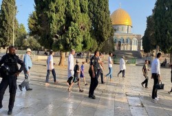 مستوطنون صهاينة يقتحمون المسجد الأقصى بحماية شرطة الاحتلال