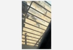 فزع حقوقي من مواصلة الاحتلال التمثيل بجثث شهداء فلسطينيين