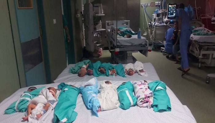 الاحتلال يقتحم مجمع الشفاء الطبي بغزة.. وضوء أخضر أمريكي