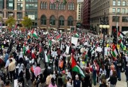 استطلاع: غالبية شباب ونساء أمريكا يرفضون العدوان الصهيوني على غزة