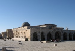 حتى تتحرر فلسطين