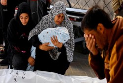 حرائر غزة يكتبن رسائل الحمام الزاجل وفيسبوك بالدموع والدمّ بوجه العدوان
