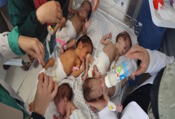 اليونيسيف ترصد: 20 ألف طفل وُلدوا في جحيم غزة
