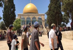 صهاينة يقتحمون الأقصى.. والحركة الإسلامية تدعو إلى الزحف والرباط