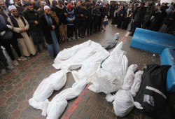 76 شهيدًا و8 مجازر بعدوان الاحتلال على غزة في 24 ساعة