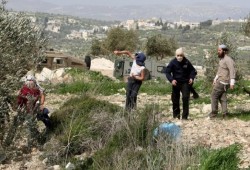 مستوطنون يعتدون على ممتلكات المواطنين في الضفة