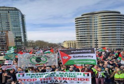مظاهرة كبرى في لندن تطالب بوقف حرب غزة والعدالة للفلسطينيين