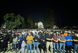 45 ألفا يؤدون صلاتي العشاء والتراويح في المسجد الأقصى