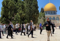عشرات الصهاينة يقتحمون المسجد الأقصى تمهيداً لتقديم قربان عيد الفصح
