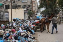 كارثة بيئية وصحية تلوح في شمال غزة وسط دعواتٍ لتدخلٍ عاجلٍ لوقفها