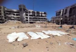 39 شهيدًا و64 مصابًا في مجازر صهيونية بغزة خلال 24 ساعة