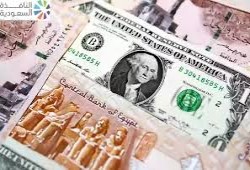 ارتفاع سعر الدولار.. والثوم يصدم المواطنين