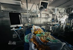 نداء استغاثة لتوفير مولدات كهربائية لمستشفيات غزة
