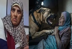 كلب جيش الاحتلال يهاجم مسنة فلسطينية.. وحشية الصهاينة في غزة