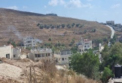 مستوطنون يحرقون أراضي زراعية بعصيرة القبلية جنوب نابلس