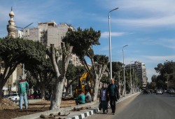 نظام الانقلاب يواصل قطع الأشجار... إزالة غابة لإيواء متضرري نزلة السمان