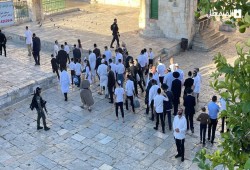 عشرات الصهاينة يقتحمون المسجد الأقصى