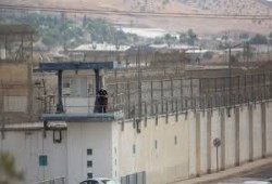 إعلام صهيوني ينشر مشاهد اغتصاب جنود الاحتلال لأسير فلسطيني بسدي تيمان