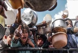 إعلام غزة: الاحتلال وأمريكا يستخدمان التجويع وسيلة ضغط سياسي