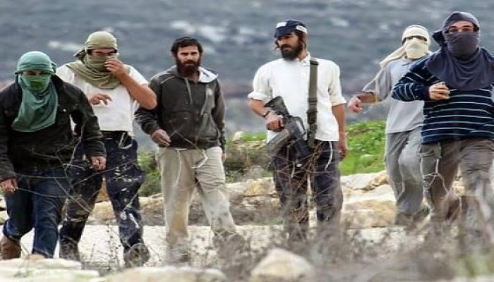 مستوطنون صهاينة يختطفون أسيرين محررين بأريحا