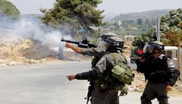 المقررة الأممية لحقوق الإنسان: وجود الاحتلال في الأراضي الفلسطينية غير قانوني