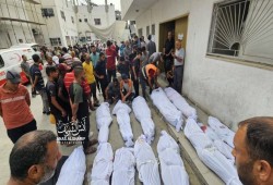 إحصاءات جديدة عن حصاد حرب الإبادة الجماعية على غزة