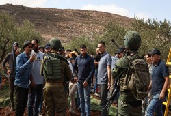 قوات الاحتلال ومستوطنون صهاينة يهاجمون مزارعي  الزيتون في رام الله والخليل