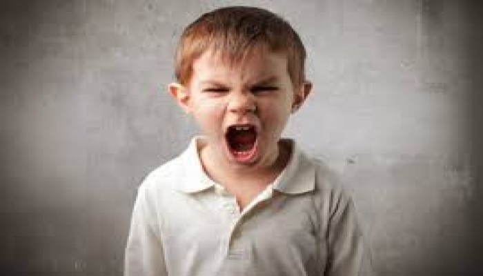 الطفل الغضوب ورسالة الأسرة المسلمة