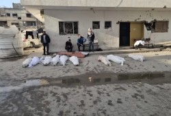 مقررة أممية تشدد على وقف وحشية الاحتلال في غزة