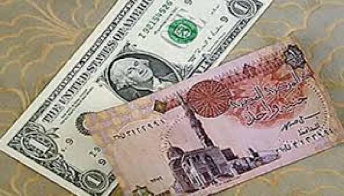 الدولار يتجاوز 51 جنيها في البنوك