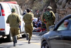 عملية بطولية تصيب11 صهيونيا بالداخل الفلسطيني واستشهاد المنفذ