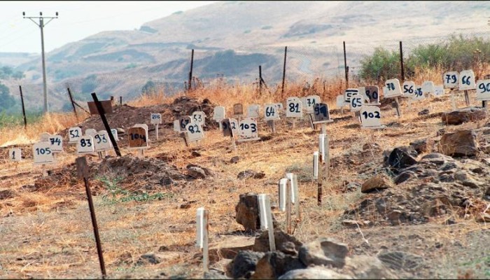 الاحتلال يحتجز جثامين 1500 فلسطيني بمقابر الأرقام والثلاجات