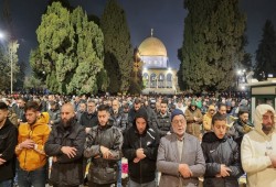 60 ألفًا يؤدّون صلاتي العشاء والتراويح في المسجد الأقصى