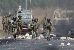 مقررة أممية: ما يحدث في الضفة المحتلة حملة تطهير عرقي