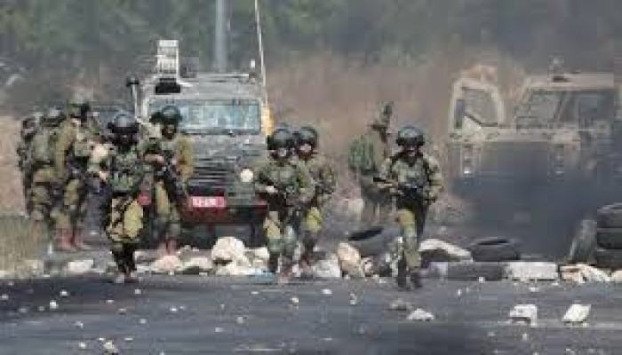 مقررة أممية: ما يحدث في الضفة المحتلة حملة تطهير عرقي