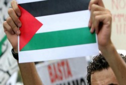 الأمم المتحدة: لا شرعية للاحتلال في فلسطين