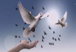الأمان النفسي والاجتماعي في الإسلام: ركيزة الدولة وشرط نهضتها