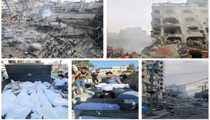 19شهيداً و81 جريحاً في غزة خلال 24ساعة