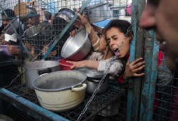 29 عضوا بالكونجرس يطالبون إدارة ترامب بوقف فوري لحصار غزة