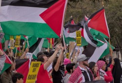 تحالف دولي يخطط لدخول غزة سيرا على الأقدام