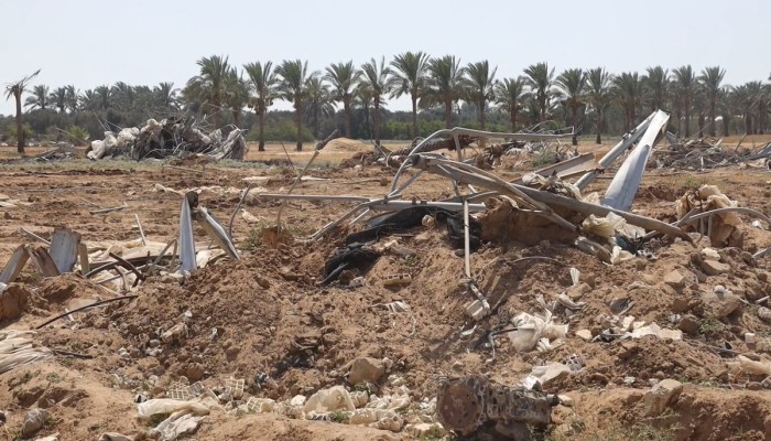الفاو: 95 % من أراضي غزة لم تعد صالحة للزراعة