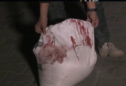بلجيكا تصعّد انتقاداتها للاحتلال بسبب حرب التجويع في غزة