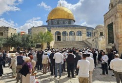 مئات الصهاينة يقتحمون الأقصى ويؤدون طقوسا تلمودية