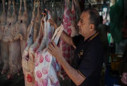ارتفاعات غير مسبوقة بأسعار الأضاحي وركود حاد بالأسواق