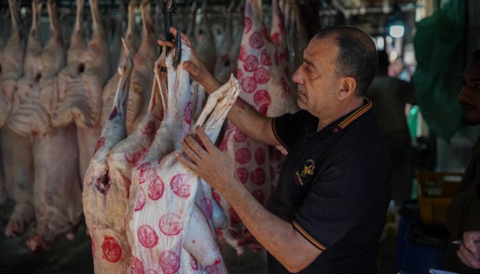 ارتفاعات غير مسبوقة بأسعار الأضاحي وركود حاد بالأسواق