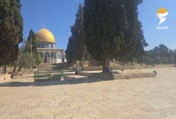 الاحتلال يواصل منع دخول المصلين المسجد الأقصى