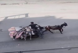 اليوم الـ 114 لتجدد العدوان على غزة.. حرب الإبادة مستمرة