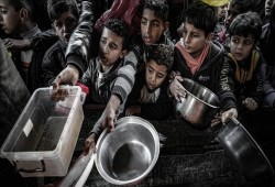 غزة تواجه مجاعة حادة.. أرقام مفزعة للضحايا