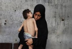 الإعلام الحكومي: لم تدخل أي شاحنة مساعدات لغزة والمجاعة تزداد حدتها