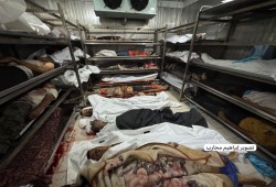 81 شهيدًا و666 جريحًا من منتظري المساعدات خلال 24 ساعة